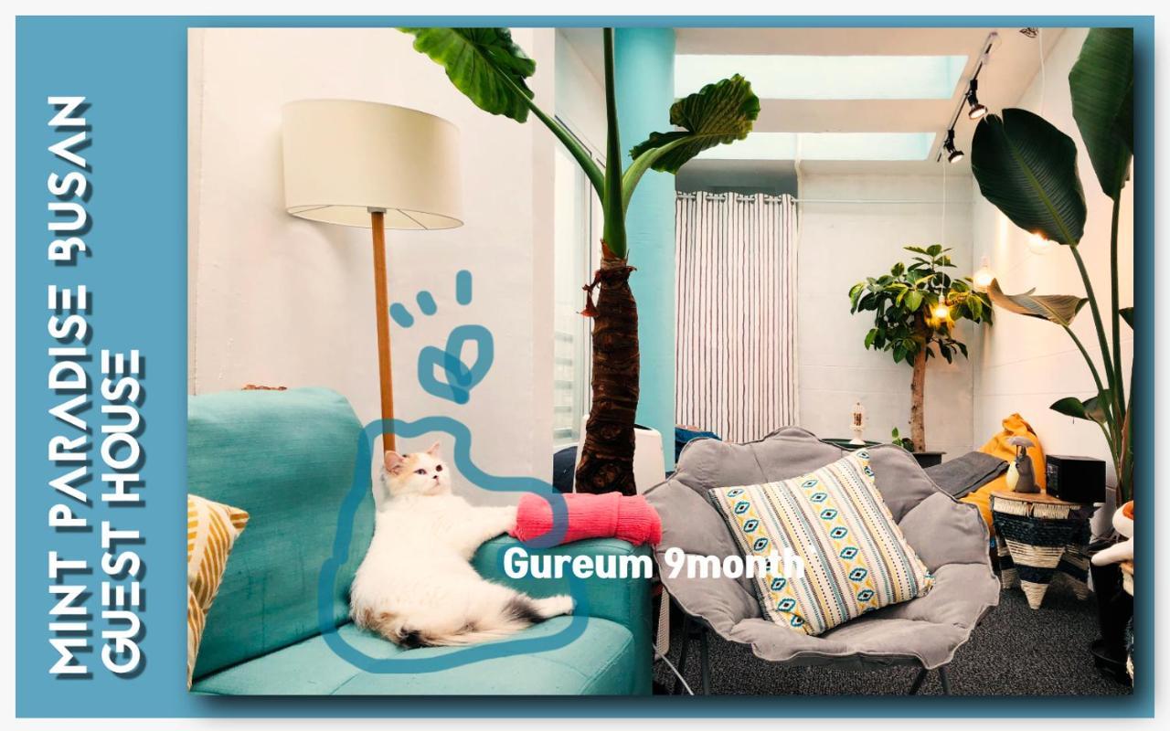Mint Paradise Busan Eksteriør bilde
